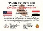 Task Force 228